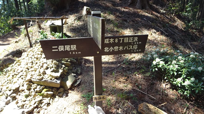 青梅丘陵ハイキング コース