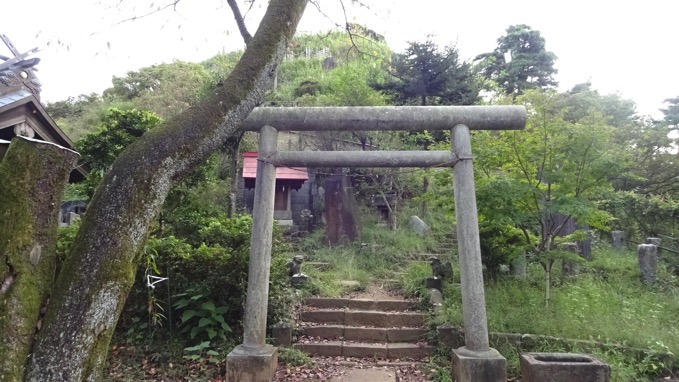 荒幡の富士 所沢 浅間神社