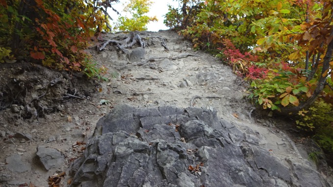 藻岩山 登山 コース