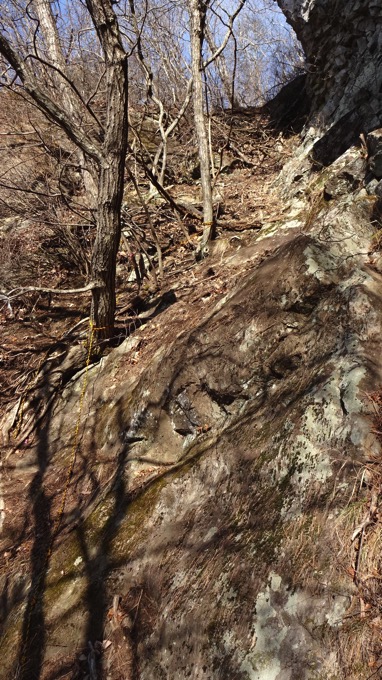 嵩山 たけやま 登山