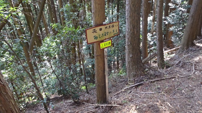 関八州見晴台 ハイキング コース