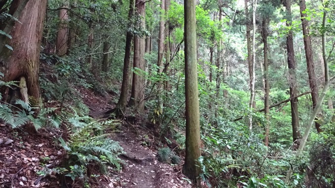 草戸山 ハイキング コース