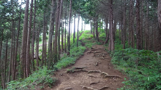 草戸山 ハイキング コース