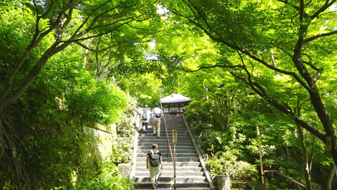 長谷寺 鎌倉