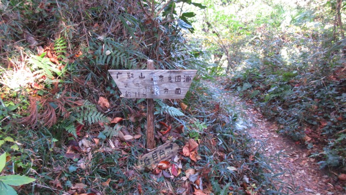 鷹取山 ハイキング