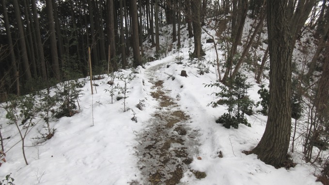 日和田山 雪