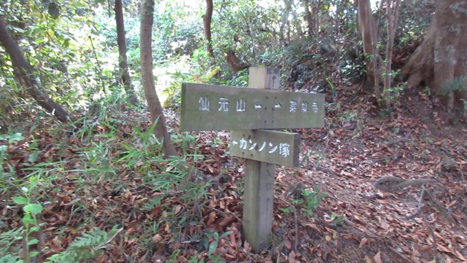 仙元山 ハイキングコース